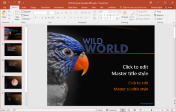 free bird powerpoint template