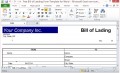 Free Bill of Lading Form Template for Excel