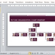 Picture Organizational Chart for Every and Any Company