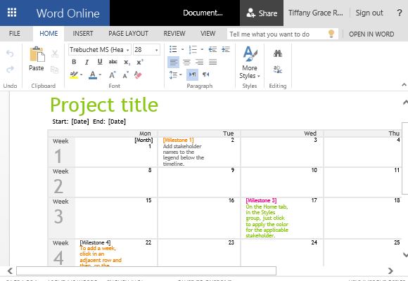 Clean and Streamline Project Timeline Template