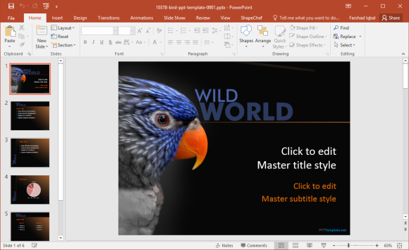 Free Bird PowerPoint Template