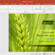 Free Organic Wheat PowerPoint Template