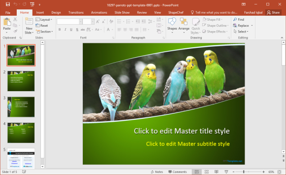 Free Parrots PowerPoint Template