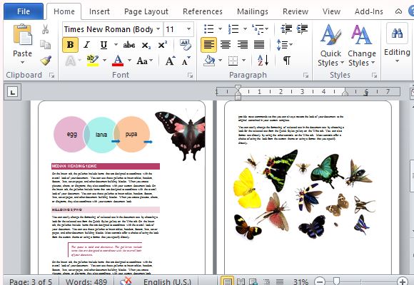 Make Your Reports With Colorful Images