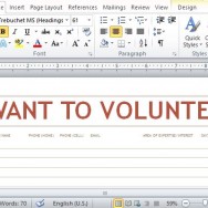 Professionally Designed Volunteer List for Non-Profit Organizations
