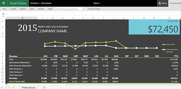 Profit and Loss Statement for Excel Online