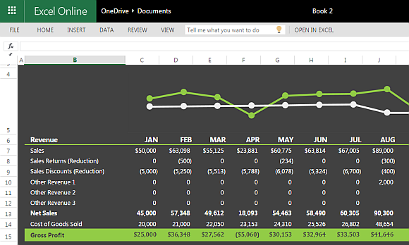 Profit and Loss Statement