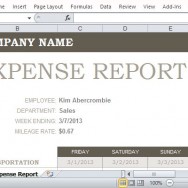 Simple Yet Stylish Expense Report Template