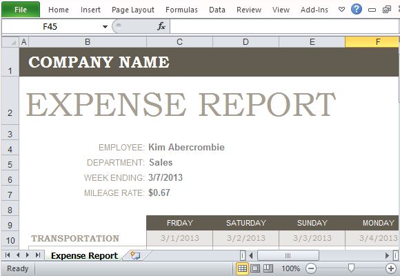 Simple Yet Stylish Expense Report Template