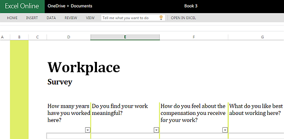 Workplace survey template for Excel