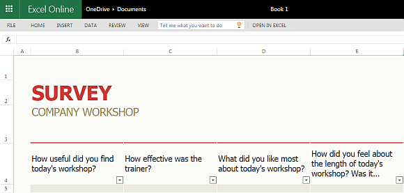 Workshop survey template for Excel