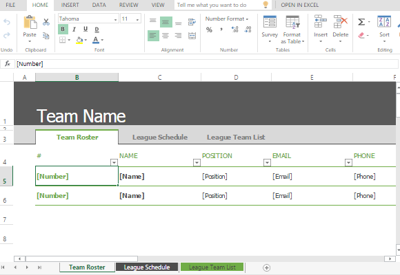 manage-your-team-using-this-roster-template