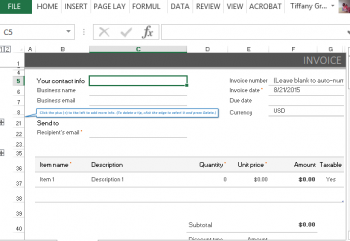 PayPal Invoice Template for Excel