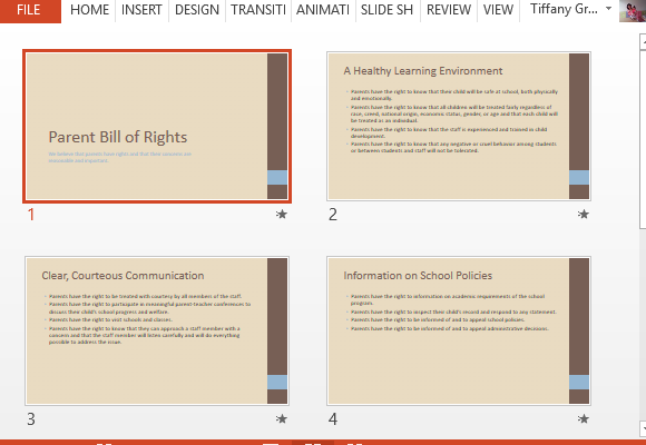 ready-made-slides-specially-designed-for-bill-of-rights-slideshow